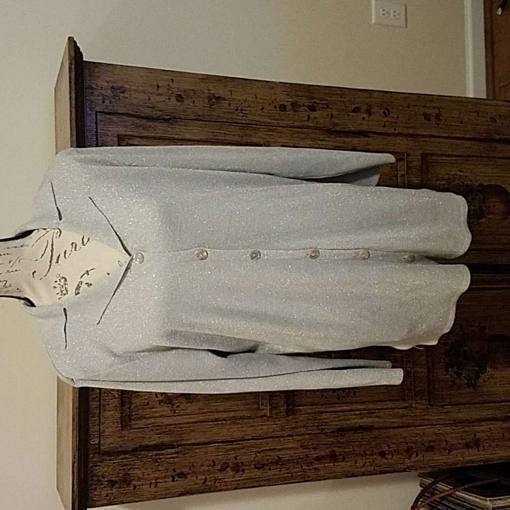 Susan Graver Silver Metallic Sweater